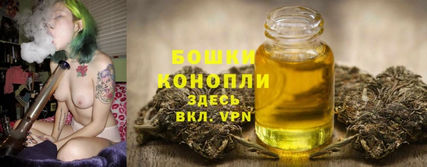 apvp Лиски