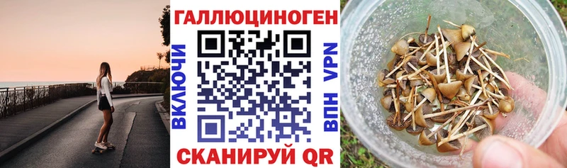 Псилоцибиновые грибы Magic Shrooms  Ува 